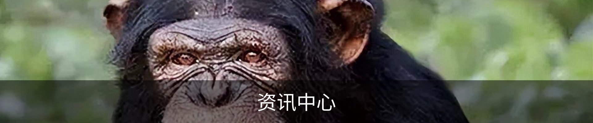 资讯中心
